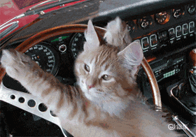 高速为何限速120km/h？测速仪咋测车速？这里告诉你答案